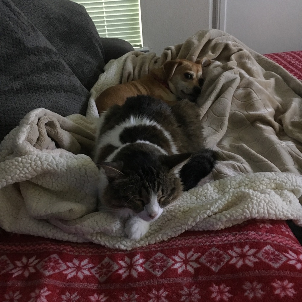 Meet your Posher, Denise